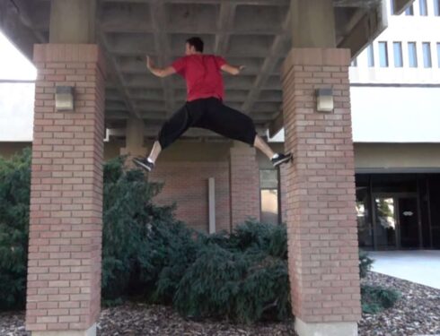 Feline Acrobatics on the Parkour Wall